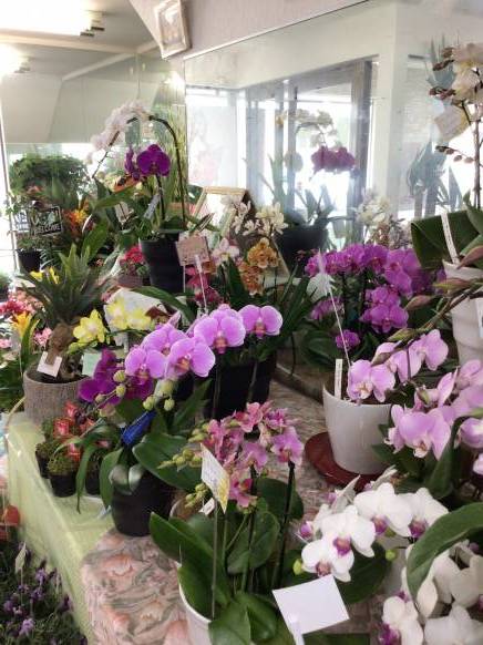 「みのくら生花店」　（宮城県大崎市）の花屋店舗写真3