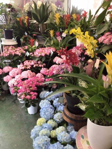 「みのくら生花店」　（宮城県大崎市）の花屋店舗写真4