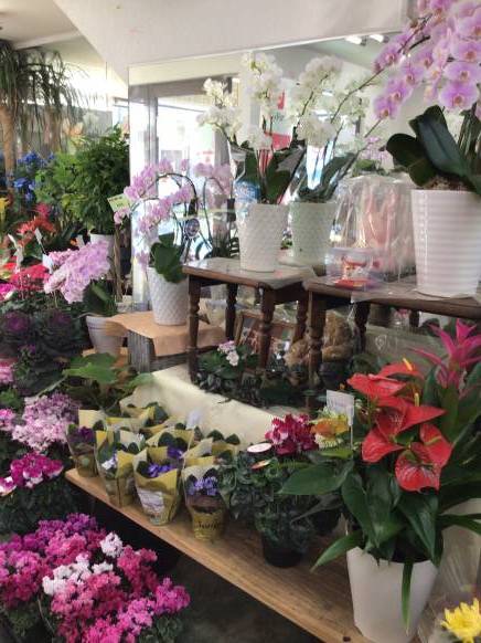 「みのくら生花店」　（宮城県大崎市）の花屋店舗写真2